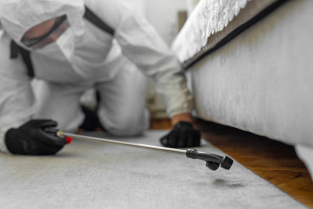 Professional Bed Bug Control technician working in Le Claire, IA