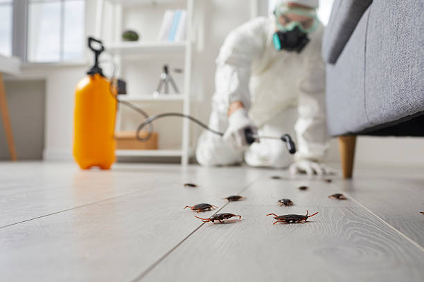Trusted Rodent Control service in Le Claire, IA - Nex Pest Control